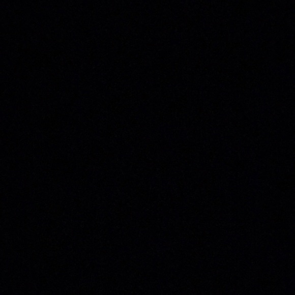 Meet your Posher, Riley - Picture 1 of 1